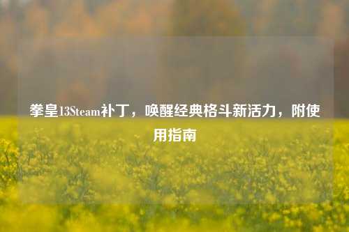 拳皇13Steam补丁,唤醒经典格斗新活力,附使用指南