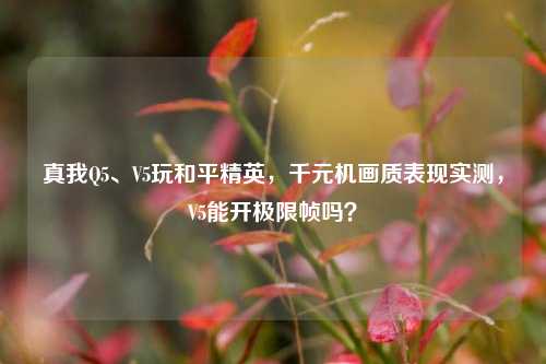 真我Q5、V5玩和平精英,千元机画质表现实测,V5能开极限帧吗?