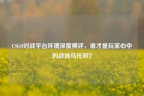 CSGO对战平台环境深度横评,谁才是玩家心中的战场乌托邦?