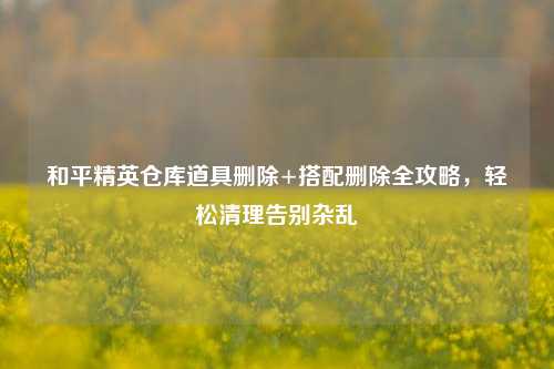 和平精英仓库道具删除+搭配删除全攻略,轻松清理告别杂乱