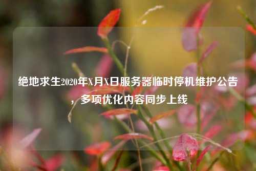 绝地求生2020年X月X日服务器临时停机维护公告,多项优化内容同步上线