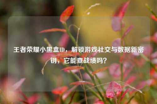 王者荣耀小黑盒ID,解锁游戏社交与数据新密钥,它能查战绩吗?