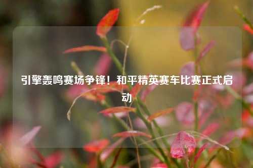 引擎轰鸣赛场争锋!和平精英赛车比赛正式启动