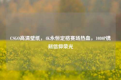 CSGO高清壁纸,4K永恒定格赛场热血,1080P镌刻信仰荣光