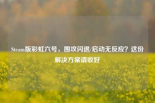 Steam版彩虹六号,围攻闪退/启动无反应?这份解决方案请收好