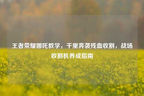 王者荣耀哪吒教学,千里奔袭残血收割,战场收割机养成指南