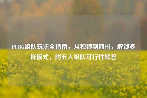 PUBG组队玩法全指南,从独狼到四排,解锁多样模式,附五人组队可行性解答