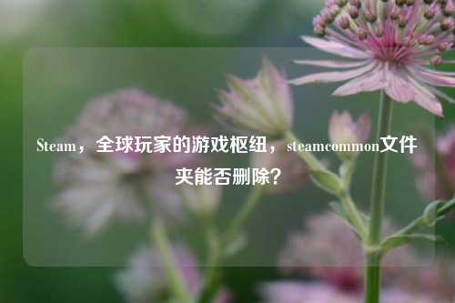 Steam,全球玩家的游戏枢纽,steamcommon文件夹能否删除?