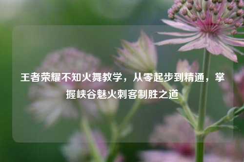 王者荣耀不知火舞教学,从零起步到精通,掌握峡谷魅火刺客制胜之道