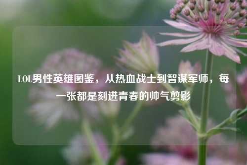 LOL男性英雄图鉴,从热血战士到智谋军师,每一张都是刻进青春的帅气剪影