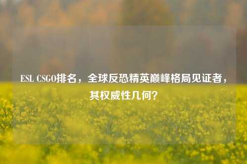 ESL CSGO排名,全球反恐精英巅峰格局见证者,其权威性几何?