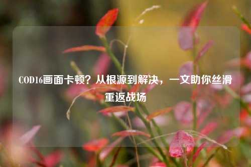 COD16画面卡顿?从根源到解决,一文助你丝滑重返战场