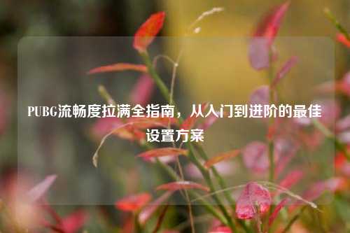 PUBG流畅度拉满全指南,从入门到进阶的更佳设置方案