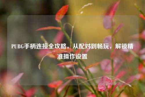PUBG手柄连接全攻略,从配对到畅玩,解锁精准操作设置