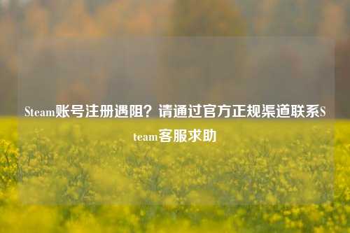 Steam账号注册遇阻?请通过官方正规渠道联系Steam 求助