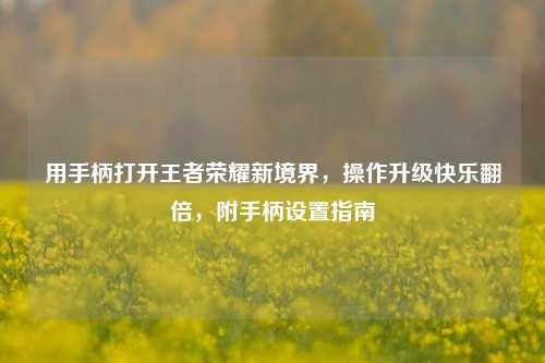 用手柄打开王者荣耀新境界,操作升级快乐翻倍,附手柄设置指南
