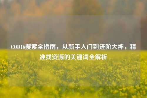 COD16搜索全指南,从新手入门到进阶大神,精准找资源的关键词全解析