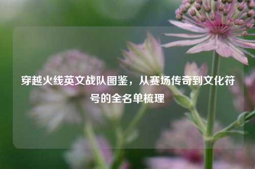 穿越火线英文战队图鉴,从赛场传奇到文化符号的全名单梳理
