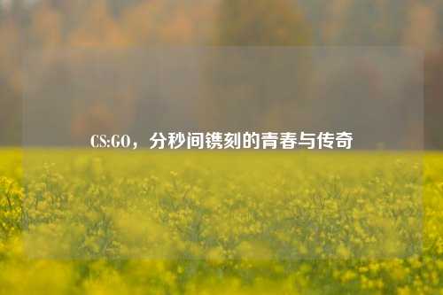 CS:GO,分秒间镌刻的青春与传奇
