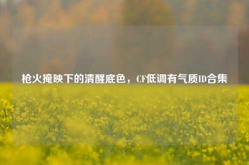 枪火掩映下的清醒底色,CF低调有气质ID合集