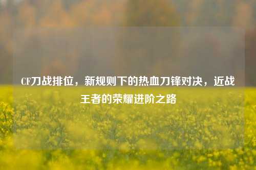CF刀战排位,新规则下的热血刀锋对决,近战王者的荣耀进阶之路