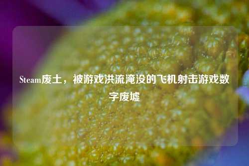 Steam废土,被游戏洪流淹没的飞机射击游戏数字废墟