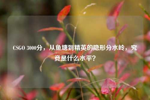 CSGO 3000分,从鱼塘到精英的隐形分水岭,究竟是什么水平?
