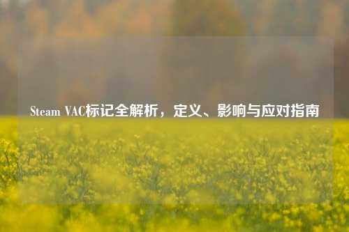 Steam VAC标记全解析,定义、影响与应对指南