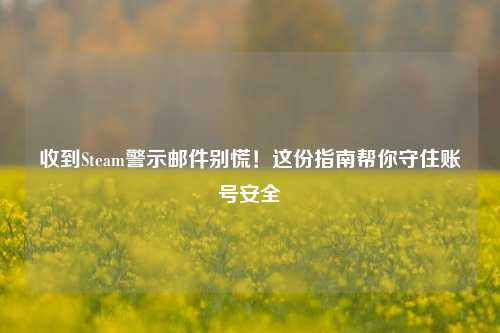 收到Steam警示邮件别慌!这份指南帮你守住账号安全