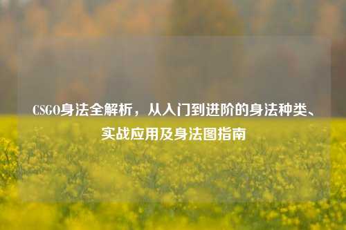 CSGO身法全解析,从入门到进阶的身法种类、实战应用及身法图指南