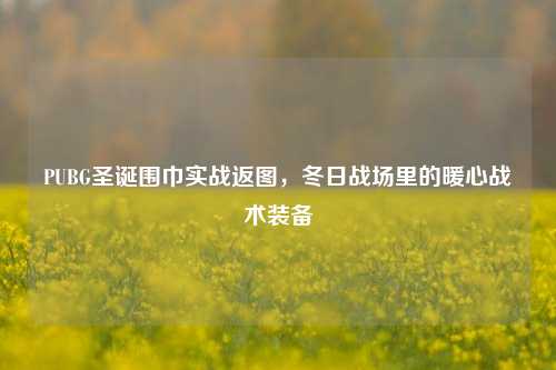 PUBG圣诞围巾实战返图,冬日战场里的暖心战术装备