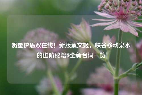 奶量护盾双在线!新版蔡文姬,峡谷移动泉水的进阶秘籍&全新台词一览