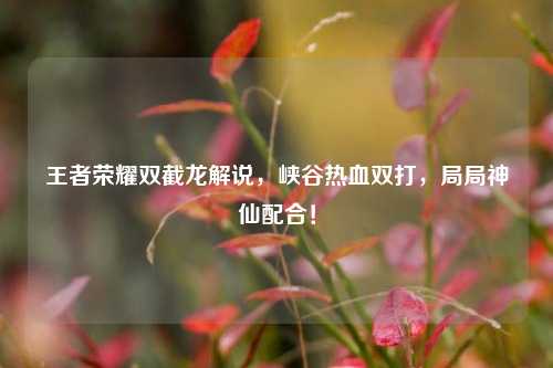 王者荣耀双截龙解说,峡谷热血双打,局局神仙配合!