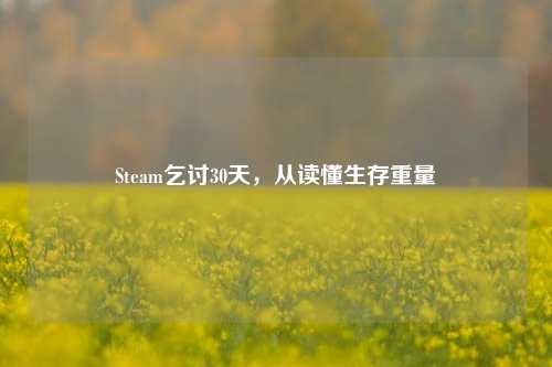 Steam乞讨30天,从读懂生存重量