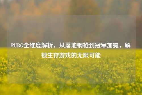 PUBG全维度解析,从落地钢枪到冠军加冕,解锁生存游戏的无限可能