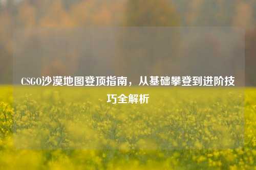 CSGO沙漠地图登顶指南,从基础攀登到进阶技巧全解析