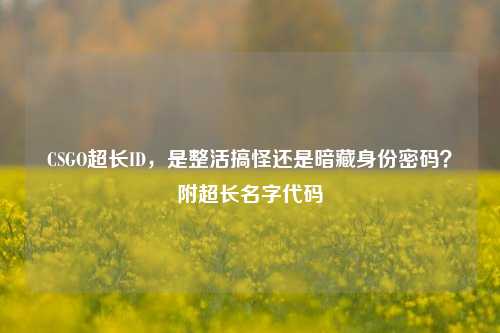 CSGO超长ID,是整活搞怪还是暗藏身份密码?附超长名字代码