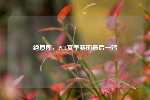 绝境圈,PCL夏季赛的最后一鸡
