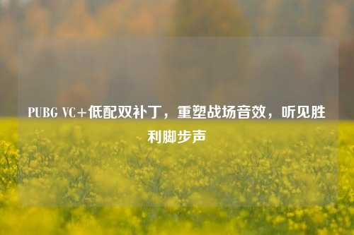 PUBG VC+低配双补丁,重塑战场音效,听见胜利脚步声