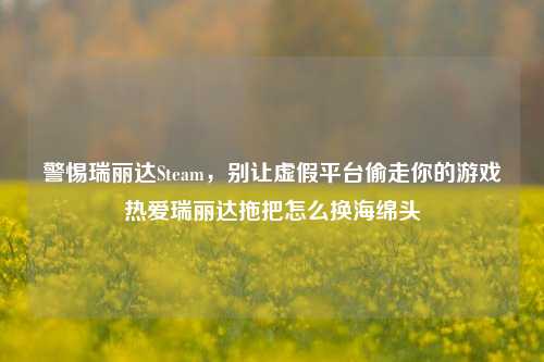 警惕瑞丽达Steam,别让虚假平台偷走你的游戏热爱瑞丽达拖把怎么换海绵头