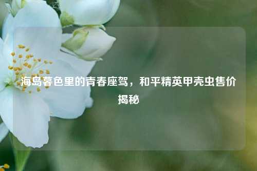 海岛暮色里的青春座驾,和平精英甲壳虫售价揭秘