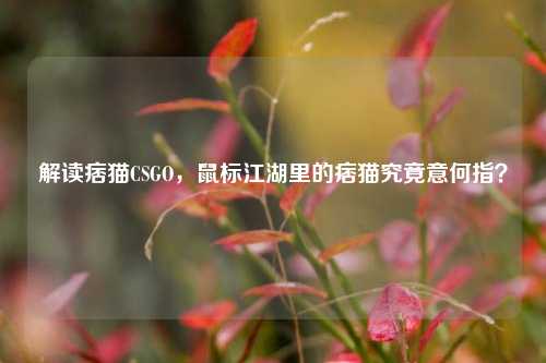 解读痞猫CSGO,鼠标江湖里的痞猫究竟意何指?