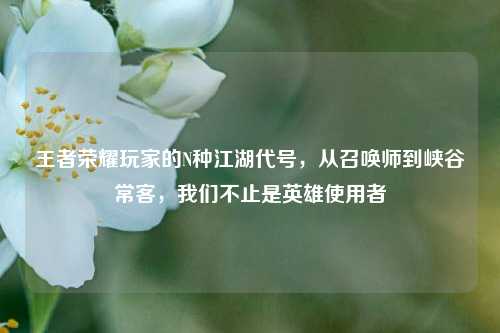 王者荣耀玩家的N种江湖代号,从召唤师到峡谷常客,我们不止是英雄使用者