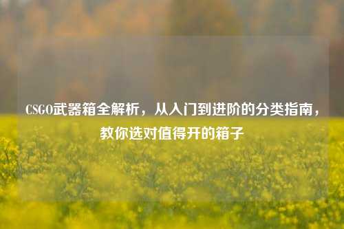 CSGO武器箱全解析,从入门到进阶的分类指南,教你选对值得开的箱子