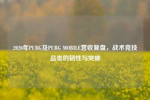 2020年PUBG及PUBG MOBILE营收复盘,战术竞技品类的韧性与突破