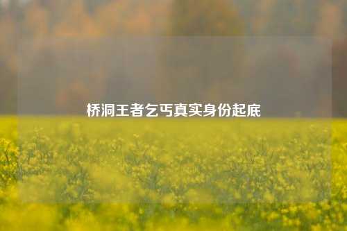 桥洞王者乞丐真实身份起底