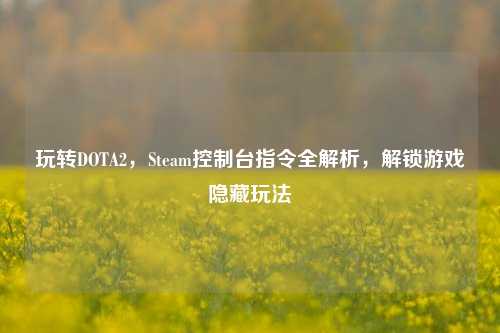 玩转DOTA2,Steam控制台指令全解析,解锁游戏隐藏玩法