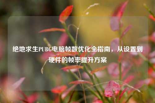 绝地求生PUBG电脑帧数优化全指南,从设置到硬件的帧率提升方案