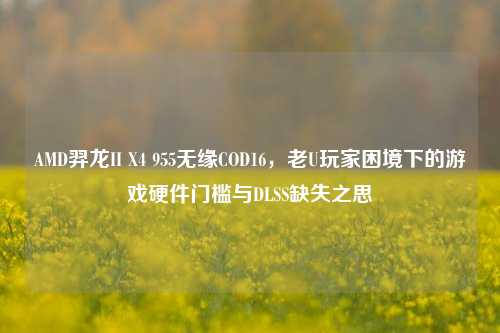 AMD羿龙II X4 955无缘COD16,老U玩家困境下的游戏硬件门槛与DLSS缺失之思