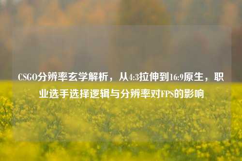 CSGO分辨率玄学解析,从4:3拉伸到16:9原生,职业选手选择逻辑与分辨率对FPS的影响